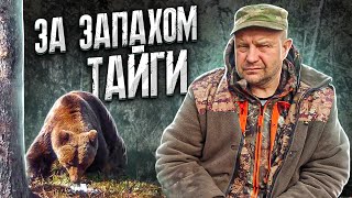 Таёжный Гемор. Медведь прикопал Лося. Рыбалка.