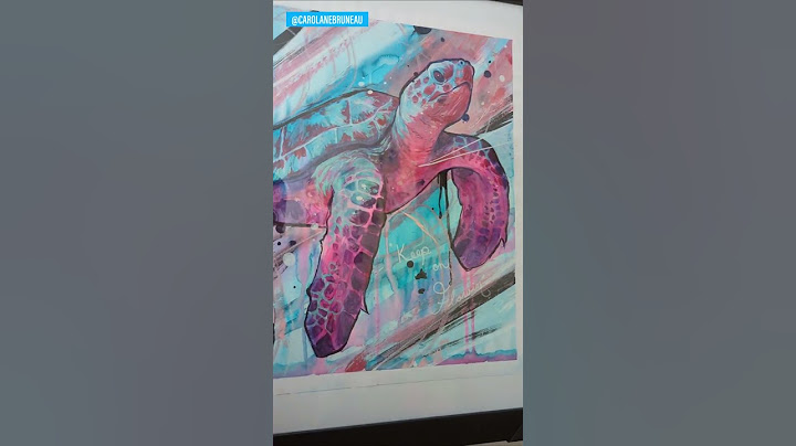 Painting Reveal 🖼️ | Turtle 🐢