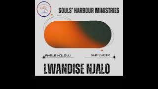 Lwandise Njalo by Anele Ndlovu SHM