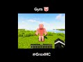 Grox 💀 1,000,000 Minecraft villagers manhunt