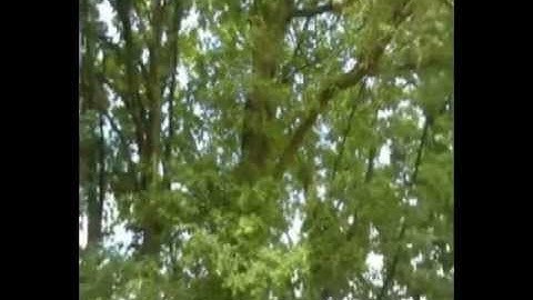 MW3 Quickscoping on outpost 60-3 [HD]