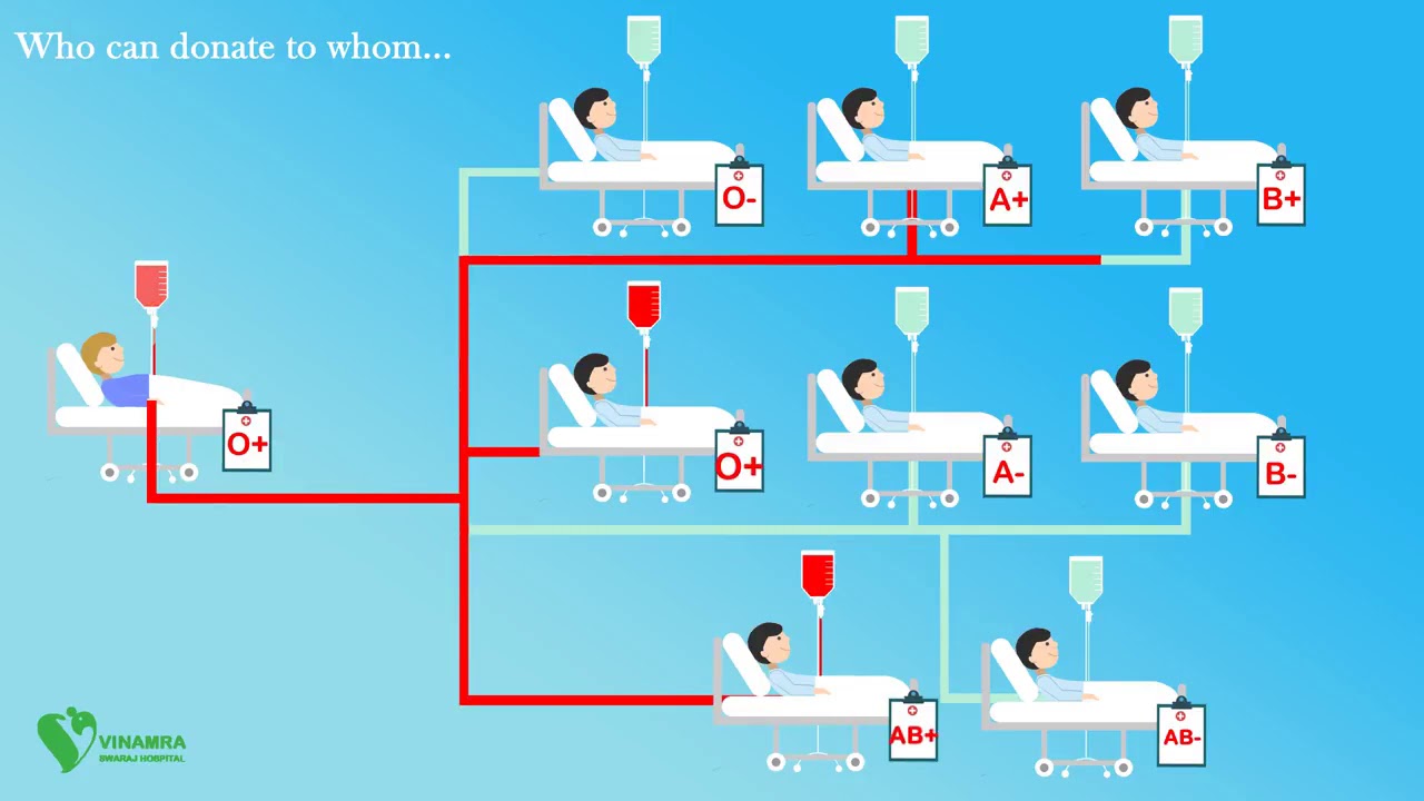 Who Can Donate Blood To Whom Chart