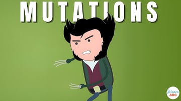 What are Mutations and what are the different types of Mutations?