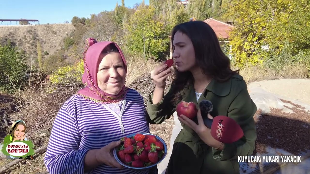 AYDIN - KUYUCAK - YUKARI YAKACIK