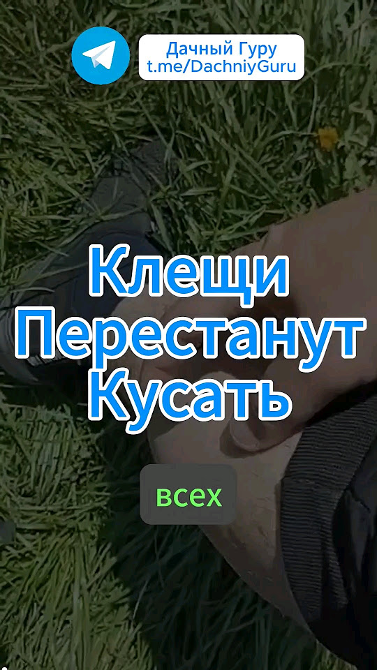 Самое рабочее средство от КЛЕЩЕЙ! #клещи #насекомые #вредители #грядки ...