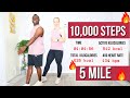 Fat Burning Indoor Walking Workout ( 10,000 steps in 1 hour ) 5 Mile Walk at Home
