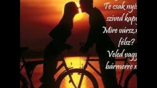 Fekete Dávid : Új élet vár