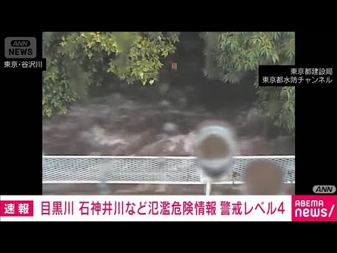 屍病污染 91c3Ww7qstL.jpg