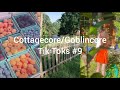 Cottagecore/Goblincore Tik Toks #9