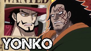 All New Straw Hat Bounties & Yonko Mihawk Revealed! (1058) A Hint of Monkey D. Dragon's Past!