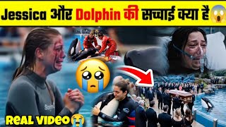 Download Lagu Jessica Radcliffe Accident In Hindi Jessica Radcliffe Orca Attack Dolphin JessicaAccident real video MP3 Download Lagu Jessica Radcliffe Accident In Hindi Jessica Radcliffe Orca Attack Dolphin JessicaAccident real video MP3