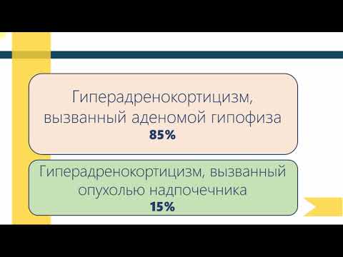 Лечение синдрома Кушинга собак