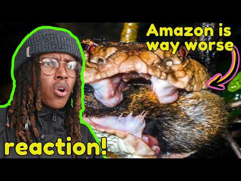 Why the Amazon Makes Australia Look Like a Joke (Casual Geographic) | REACTION!