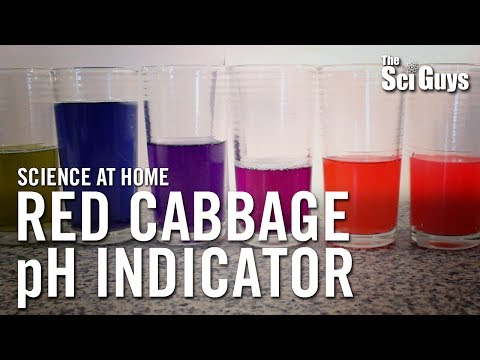 The Sci Guys: Science at Home - SE2 - EP4: Red Cabbage pH Indicator - Acid Base Indicator