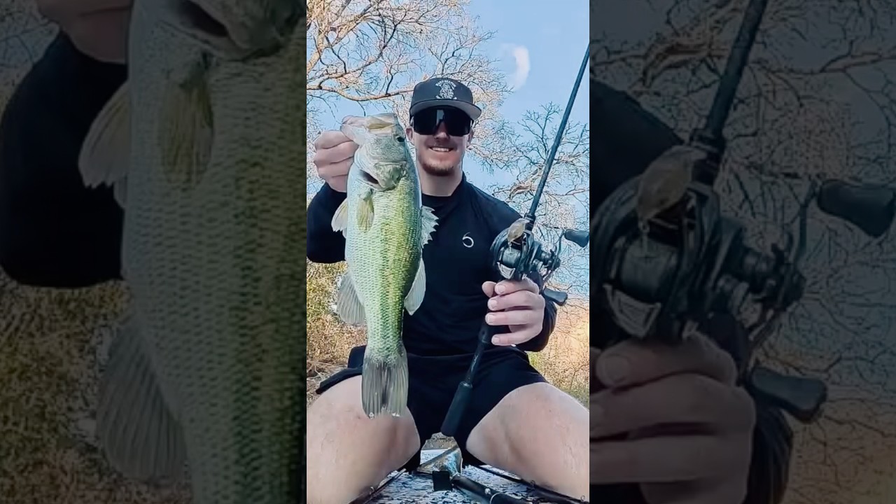 Небольшой ручей, отличный окунь!