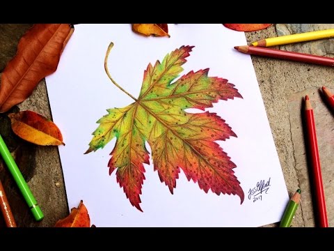 How to draw Autumn or Fall Leaves Real Easy | Fall leaves drawing, Leaf  drawing, Leaf drawing easy