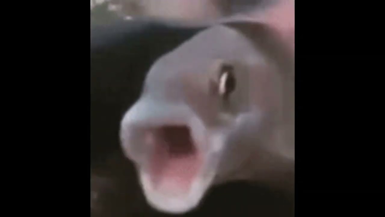 INK GAMES (TIK TOK BASS BOOST REMIX)