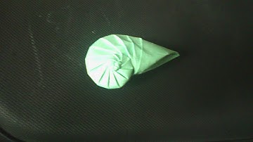 Navel Shell Origami - Tomoko Fuse - Tutorial