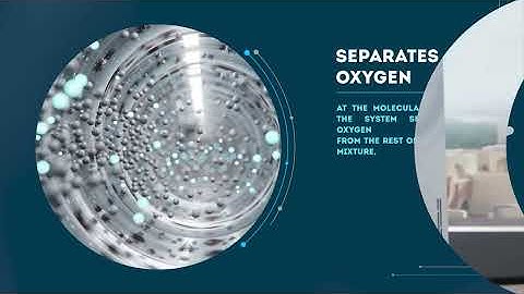 Module 21 - Introductory Video