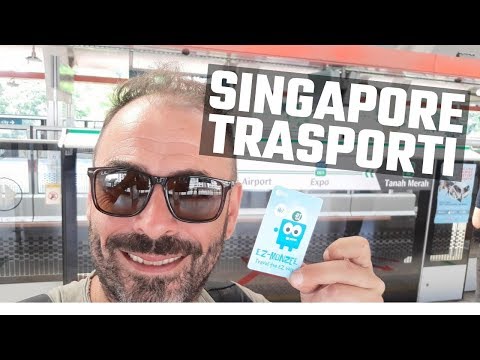 Video: Muoversi a Singapore: Guida ai trasporti pubblici