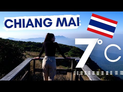 Video: Thaimaan Sisäpihan Kasvit