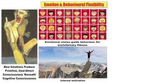 15 Emotion & Behavioural Flexibility