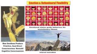 15 Emotion & Behavioural Flexibility