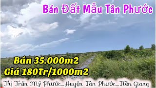 Tập 1528❤️🌸Đất mẫu Tân Phước. Bán 35.000m2 giá 6,3 Tỷ. Thị Trấn Mỹ Phước,Tân Phước,Tiền Giang