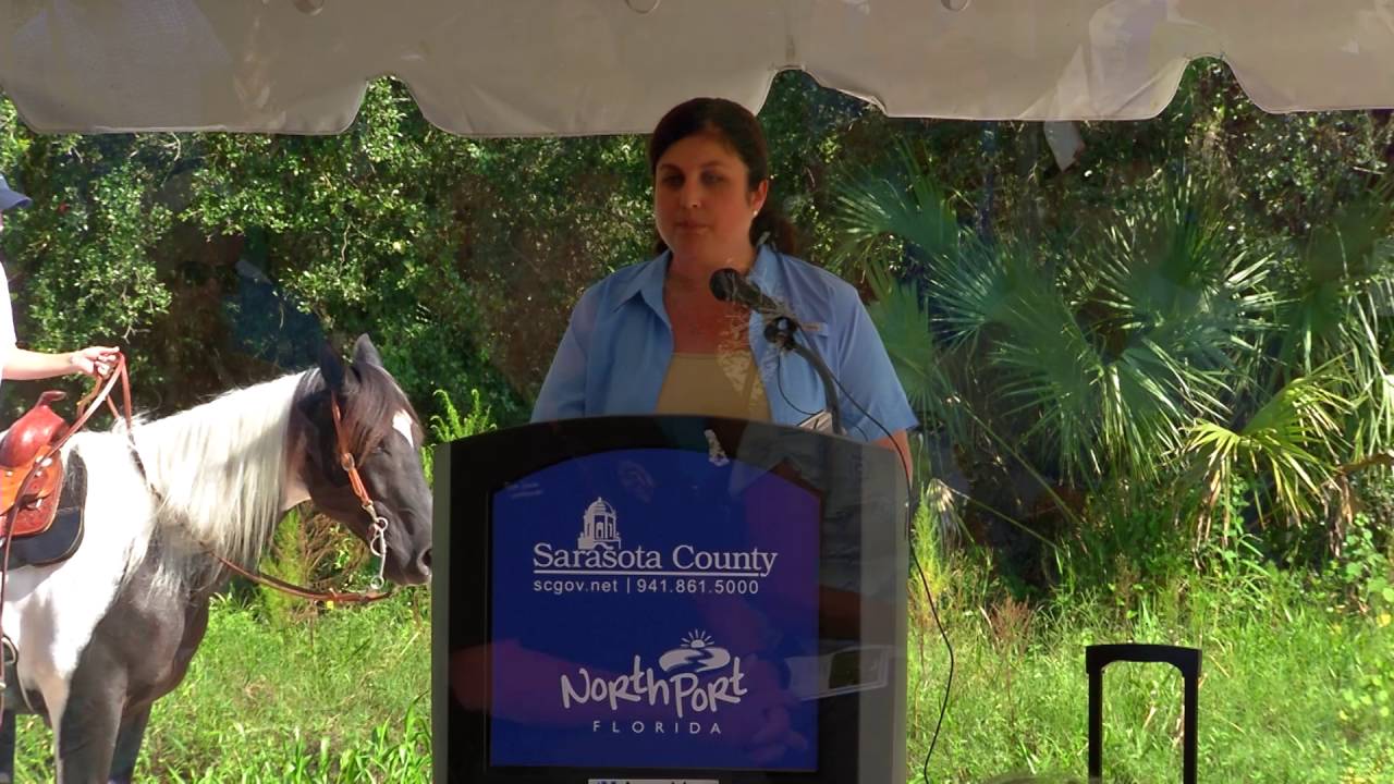 FYI North Port Connector Bridge