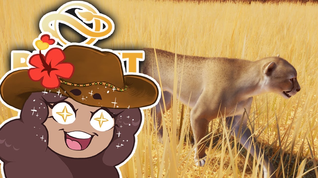 Spotting SPOTLESS Cheetah?! 🦒 SAHULA SAFARI • #41 - YouTube