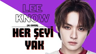 Lee Know - Her Şeyi Yak (AI Cover) Resimi