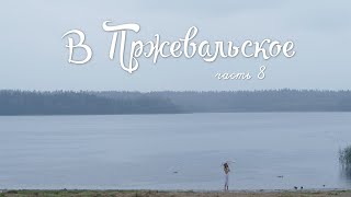 ОБЗОР ПРЖЕВАЛЬСКОЕ! часть 8: профлист, кафе Ветерок, пляжи и спокойствие.