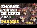 Cpes le paradis  part2  le bouquet final  saison des cpes 2023 cpes champignons