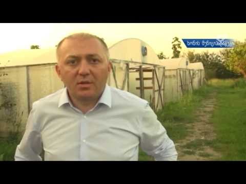 გიორგი ლილუაშვილი მუნიციპალიტეტებში შეხვედრებს განაგრძობს /MTAVARI/