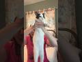 Filming for YouTube as a cat owner