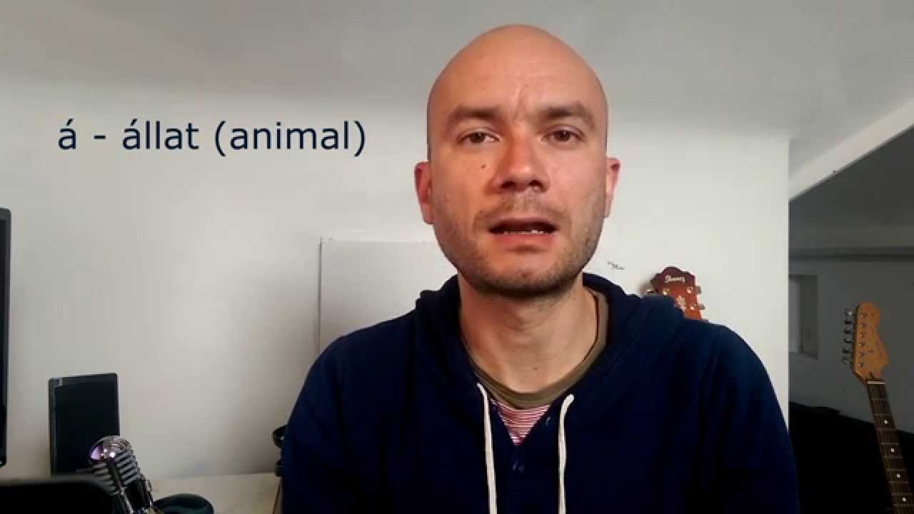 Hungarian pronunciation practice #hungary #communicationskills