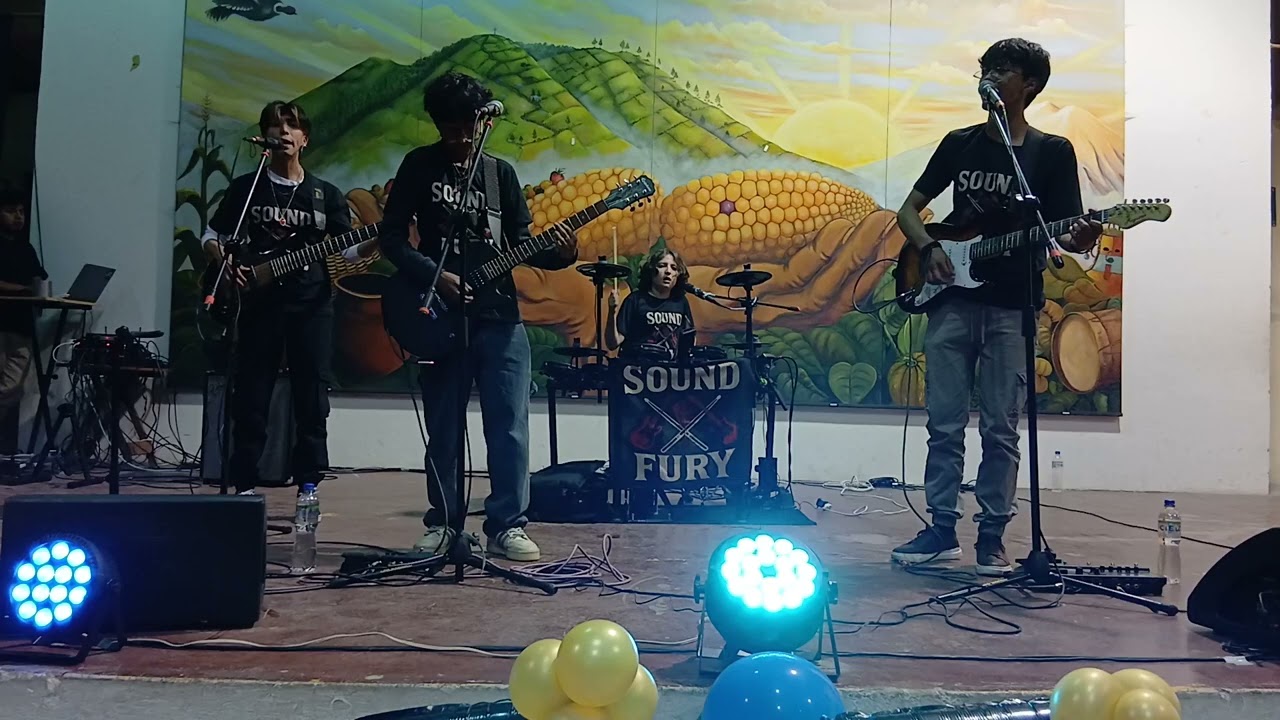 Sound Fury - Sabor a chocolate (Elefante)