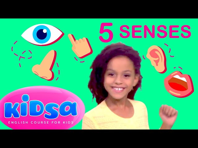 5 Senses - Kids Songs - Kidsa English class=