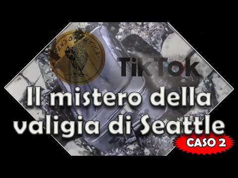 Video: Il Mistero Della Valigia D'oro - Visualizzazione Alternativa