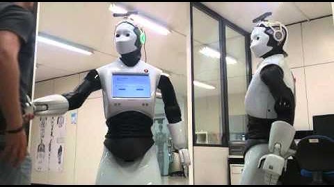 Preliminar results, learning by demonstration gestures (2)