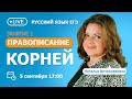 Правописание корней | Русский язык ЕГЭ | TutorOnline