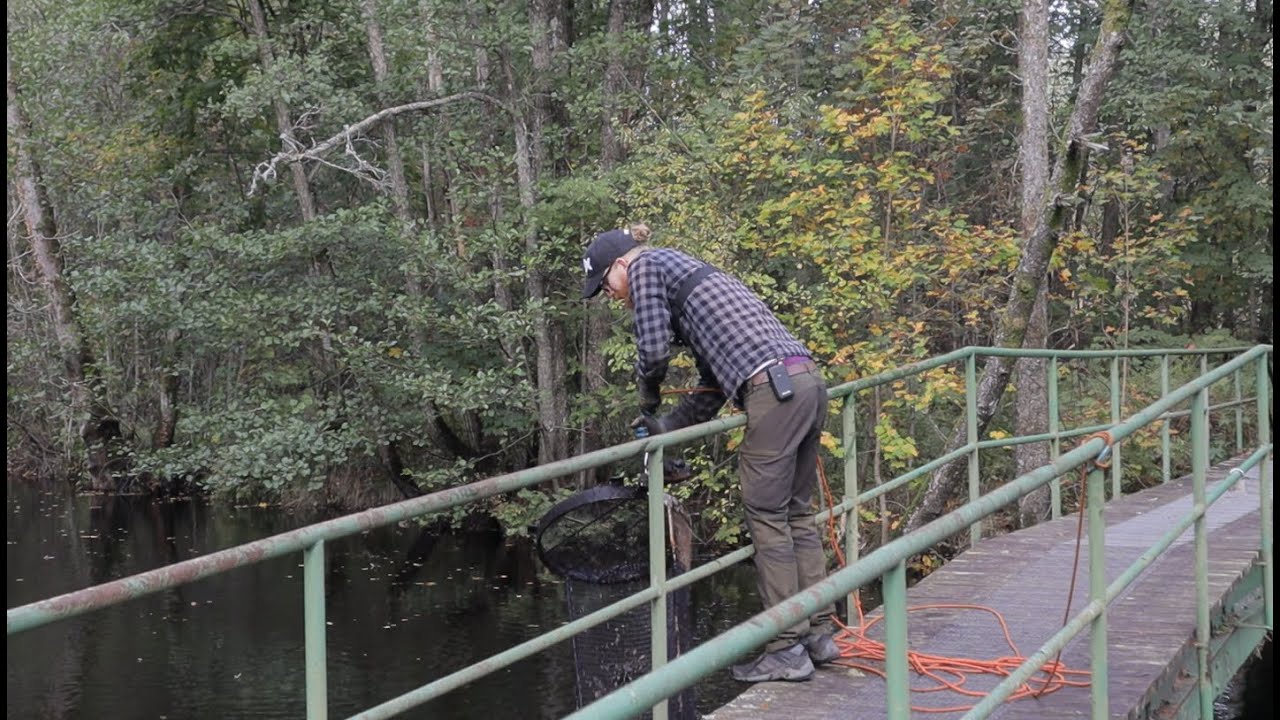 Magnetfiske - Stora Tunga Fynd!!