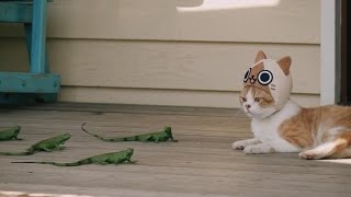 3DS『モンハン日記 ぽかぽかアイルー村DX(デラックス)』WEB CM 第四話「続・狩猟」篇