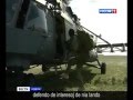 Verdaj hometoj de Putin en 2013 j.