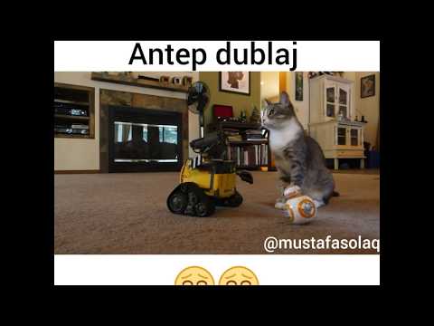 Robot Hüseyin Ve Kedi ( Antep Dublaj )