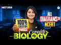 All Diagrams Of NCERT - 100% Questions Guaranteed | NEET 2026 Biology | Seep Pahuja