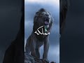 ابويا قالى هتعيش اسد تسوق مملكهتاكل يتتاكل وده قانون الحياه  mp3