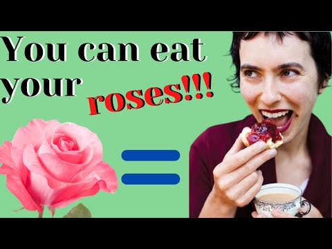 ☑️ You can eat your roses! 🌹 Γλυκό τριαντάφυλλο + Ροδόνερο