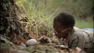 MTN Internet: Oh, the things you'll learn. Join the fastest Internet in the New World