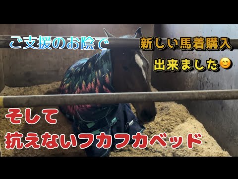 ご支援から購入した新しい馬着の紹介とフカフカベッドで喜ぶ馬達